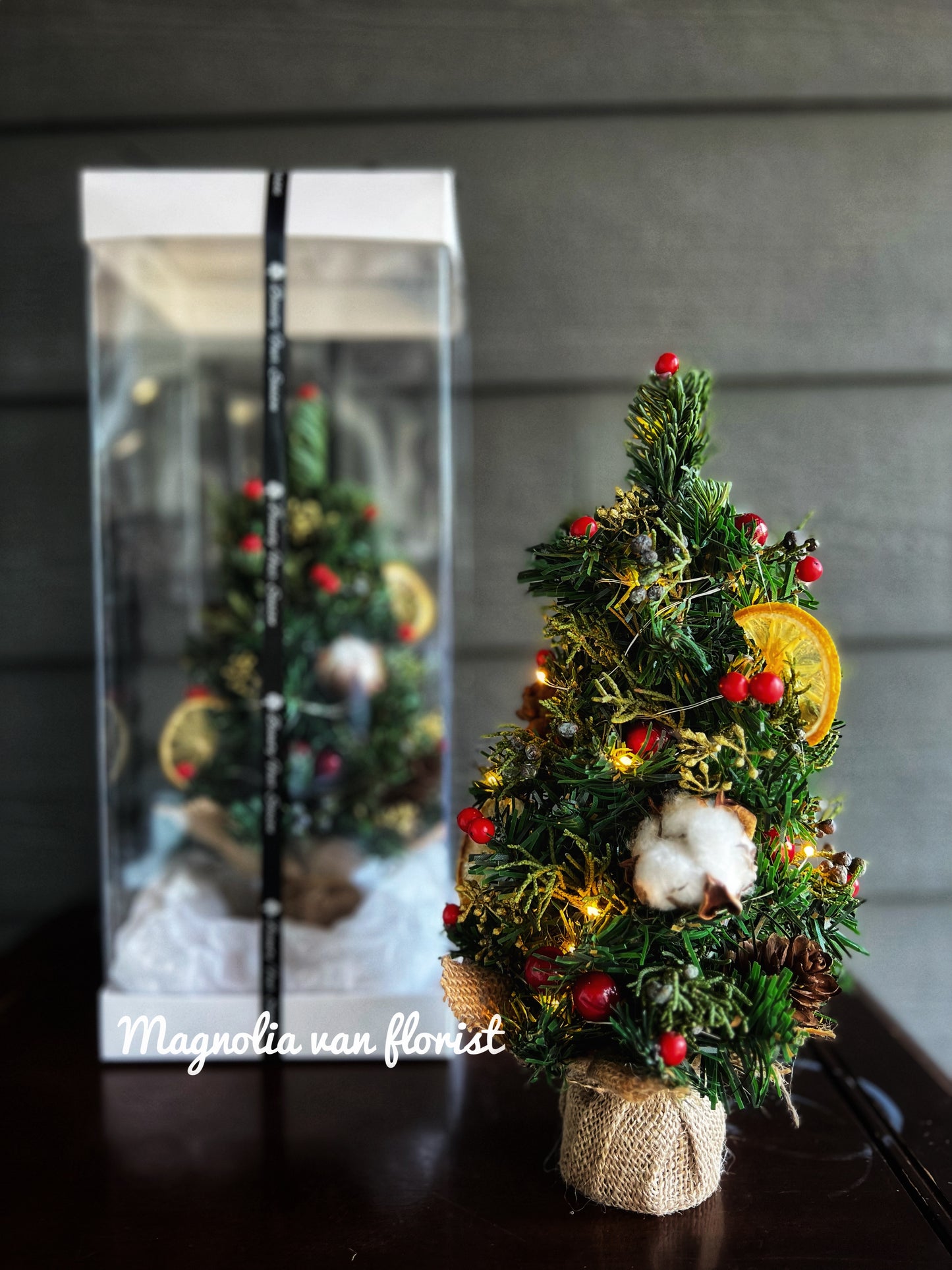 🎄Christmas Collection 30cm Christmas Tree